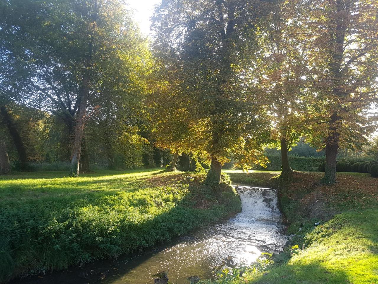 B&B Park7 Wavre - Leuven Huldenberg Exteriör bild